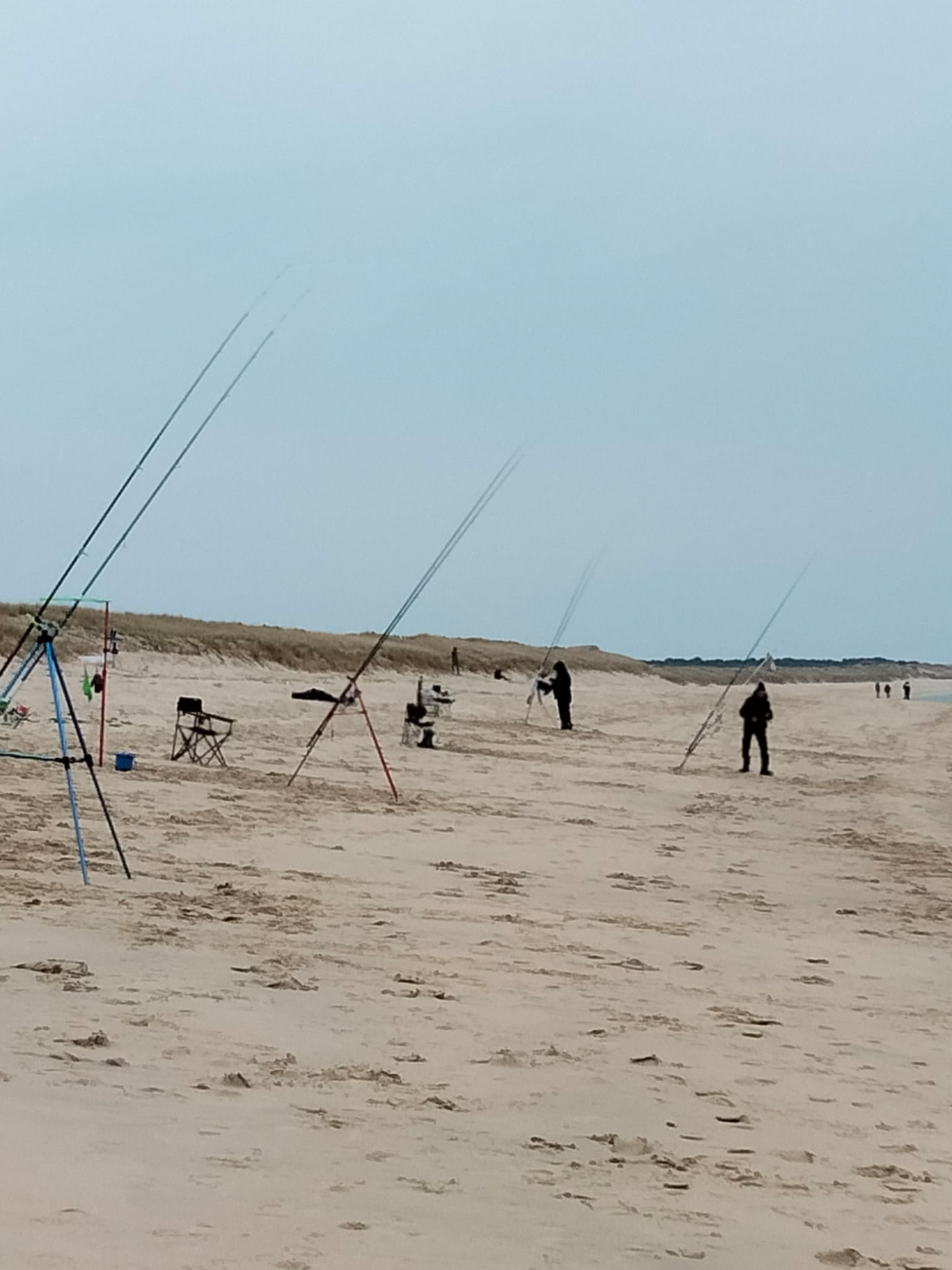 Sortie club du 16 mars 2025       #SORTIE CLUB
      